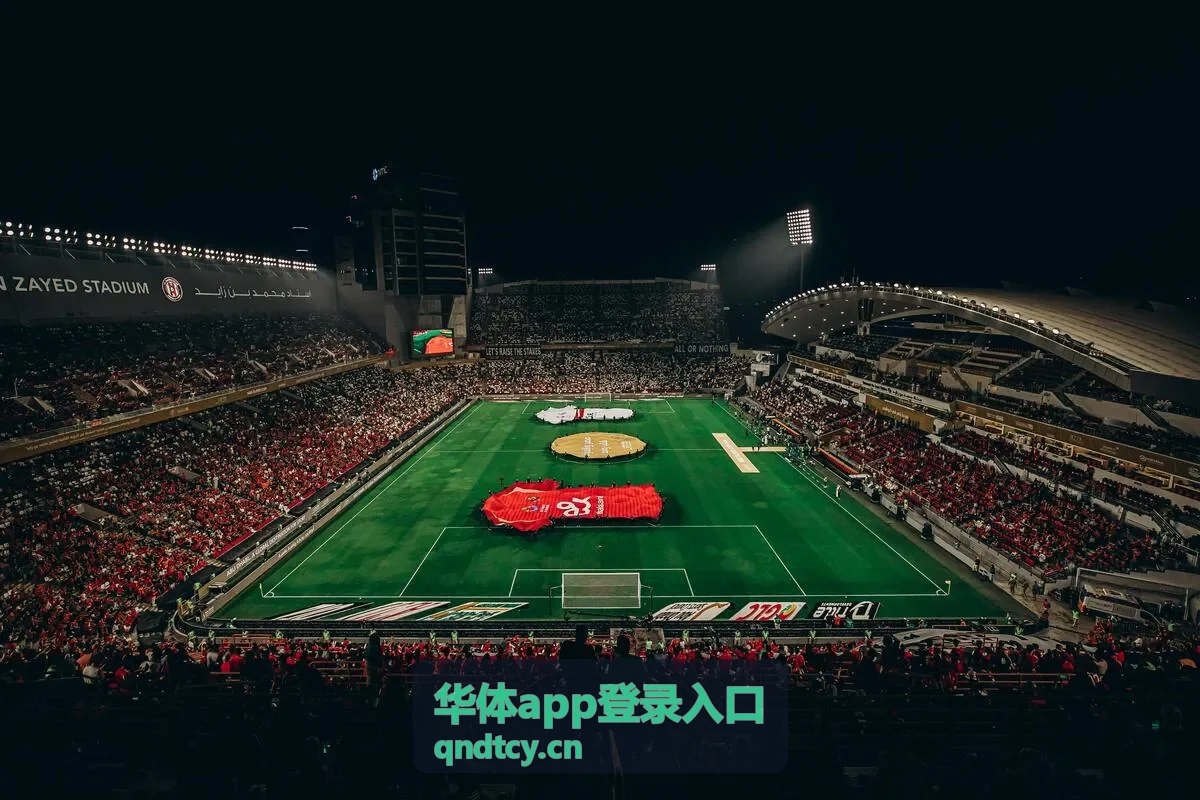 华体app登录入口电视盒子投屏版封面