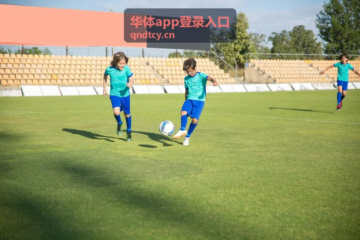 华体app登录入口历史版本回退包封面